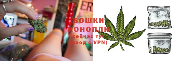 соль ск Арсеньев