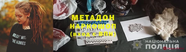 прущие грибы Аркадак