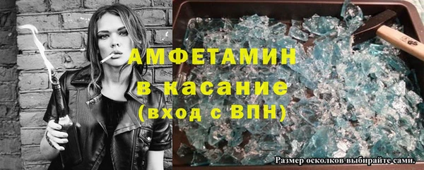 прущие грибы Аркадак