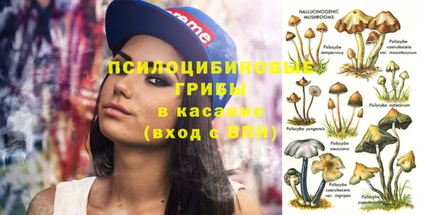 прущие грибы Аркадак