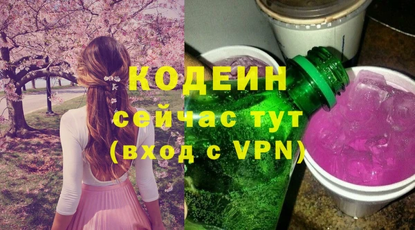 соль ск Арсеньев