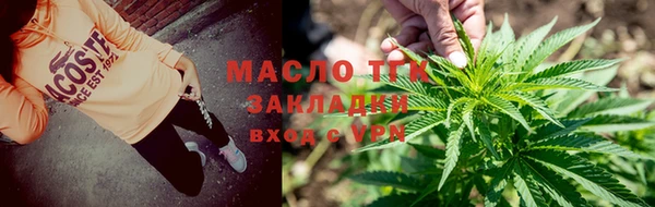 прущие грибы Аркадак