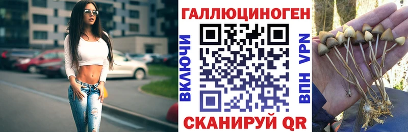 omg tor  маркетплейс Telegram  Псилоцибиновые грибы ЛСД  Солнечногорск 